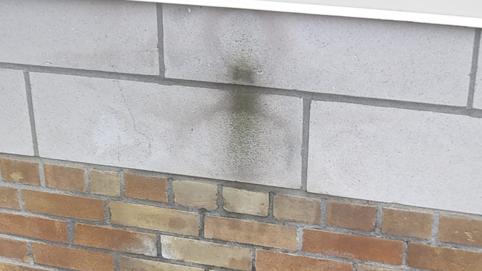 Traces d'infiltration d'eau sur un mur de maçonnerie au-dessus de la brique, photographiées lors d'une inspection d'humidité